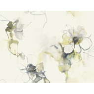 Seabrook Designs Anemone Watercolor Floral - Dark Ash and Canary