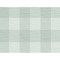 Lillian August Rugby Gingham - Sea Glass