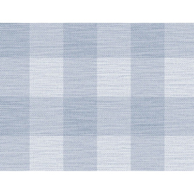 Lillian August Rugby Gingham - Carolina Blue