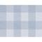 Lillian August Rugby Gingham - Carolina Blue