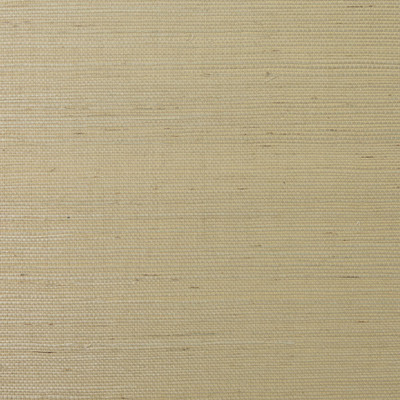 Lillian August Sisal Grasscloth - Desert Limestone