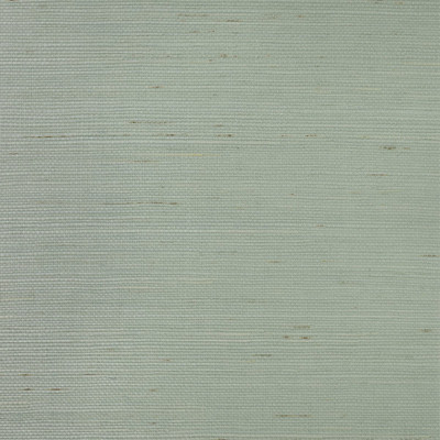 Lillian August Sisal Grasscloth - Powder Blue