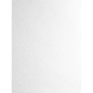 Etten Studios Mica Texture - Pearl Glitter
