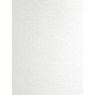 Etten Studios Mica Texture - Metallic Pearl & Champagne