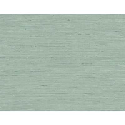 Seabrook Designs Seahaven Rushcloth - Aloe