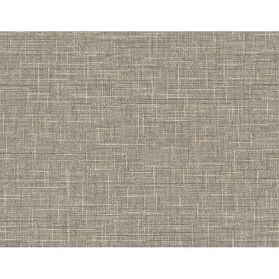 DuPont Grasmere Weave - Cappuccino