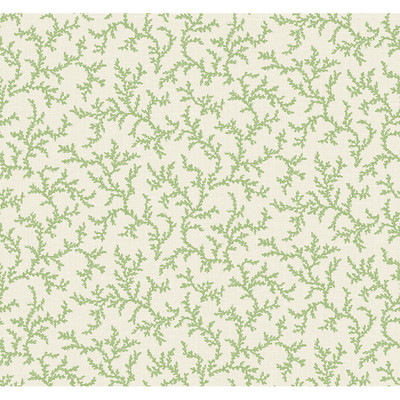 Seabrook Designs Corail - Herb
