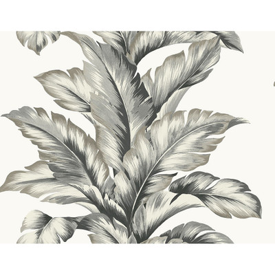 Lillian August Banana Springs  - Greystone