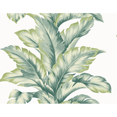 Lillian August Banana Springs  - Rivercrest