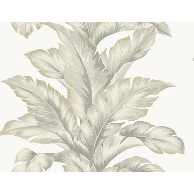 Lillian August Banana Springs  - Fieldstone