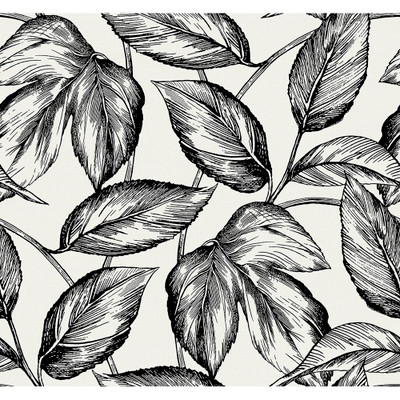 Seabrook Designs Beckett Sketched Leaves - Volcanic Black