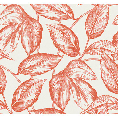 Seabrook Designs Beckett Sketched Leaves - Rich Coral