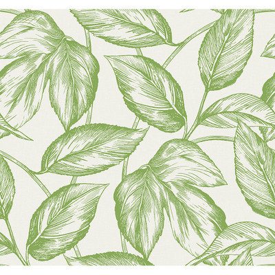 Seabrook Designs Beckett Sketched Leaves - Apple Green