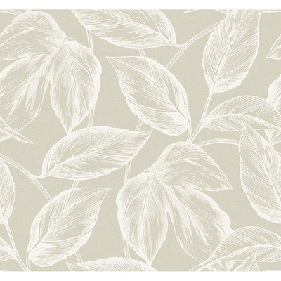 Seabrook Designs Beckett Sketched Leaves - Oat