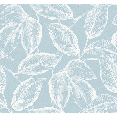 Seabrook Designs Beckett Sketched Leaves - Baby Blue