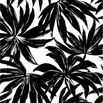 Daisy Bennett Designs Palma - Black