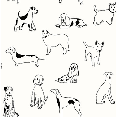 Stacy Garcia Home Best in Show - Onyx