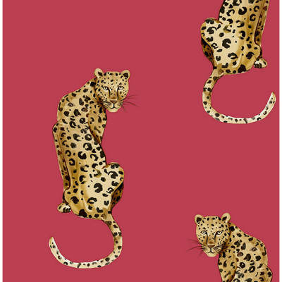 Daisy Bennett Designs Leopard King - Red