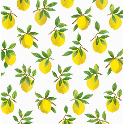 Daisy Bennett Designs Lemoncello - White