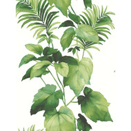 Harry & Grace Leaf Stripe - Summer Fern