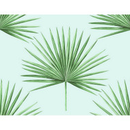 Harry & Grace Pacific Palm - Celeste & Jade