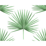 Harry & Grace Pacific Palm - Greenery