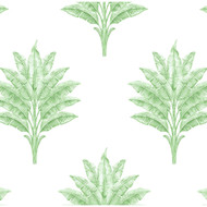 Harry & Grace Sea Breeze Palm - Greenery