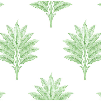 Harry & Grace Sea Breeze Palm - Greenery