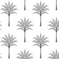 Harry & Grace Montgomery Palm - Harbor Grey