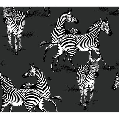 Harry & Grace Playful Zebras - Charcoal