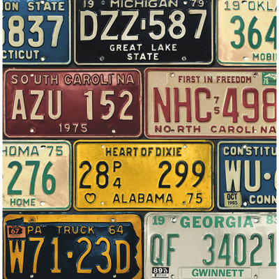 Harry & Grace License Plates - Mutlicolored