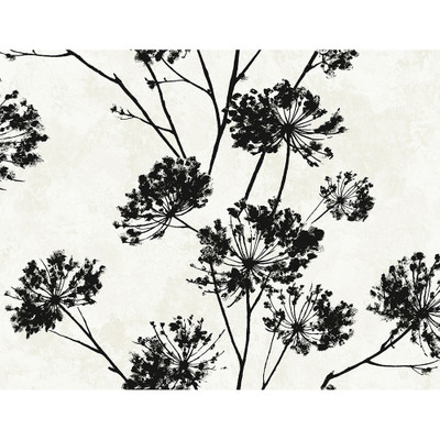 Harry & Grace Dandelion Floral - Ebony