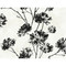 Harry & Grace Dandelion Floral - Ebony