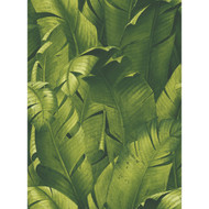 NextWall Tropical Banana Leaves - Green