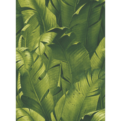 NextWall Tropical Banana Leaves - Green