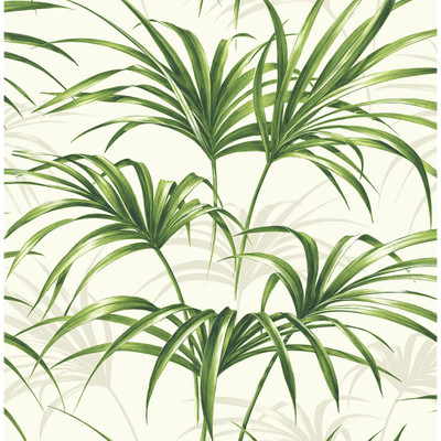 NextWall Tropical Palm Leaf - Green and Off-White