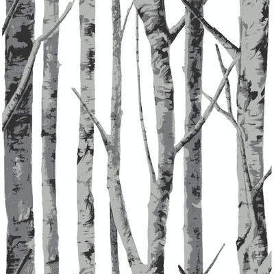 NextWall Birch Trees - Monochrome
