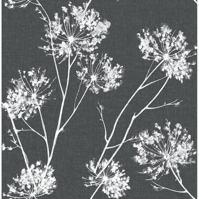 NextWall One O'Clocks - Charcoal