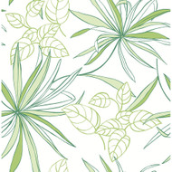 NextWall Spider Plants - Green