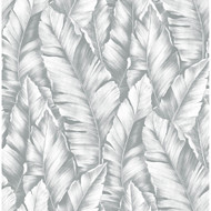 NextWall Baha Banana Leaves - Daydream Gray