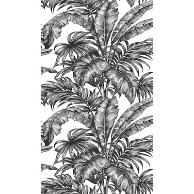 NextWall Palm Jungle - Ebony & Pearl