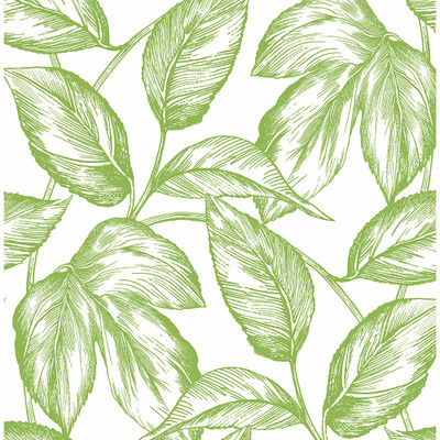 NextWall Sketched Leaves - Greenery