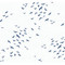 NextWall Birds in Flight - Navy Blue