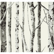NextWall Winter Birch - Greystone