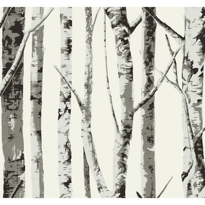 NextWall Winter Birch - Greystone