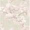 NextWall Cherry Blossom Grove - Parchment & Rose