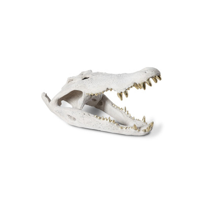Phillips Collection Crocodile Skull - Roman Stone - Gold Leaf