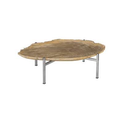 Phillips Collection Petrified Wood Tray - Stainless Steel Base - Assorted Styles and Sizes
