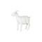 Phillips Collection Goat - Off White