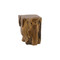 Phillips Collection Teak Root Side Table